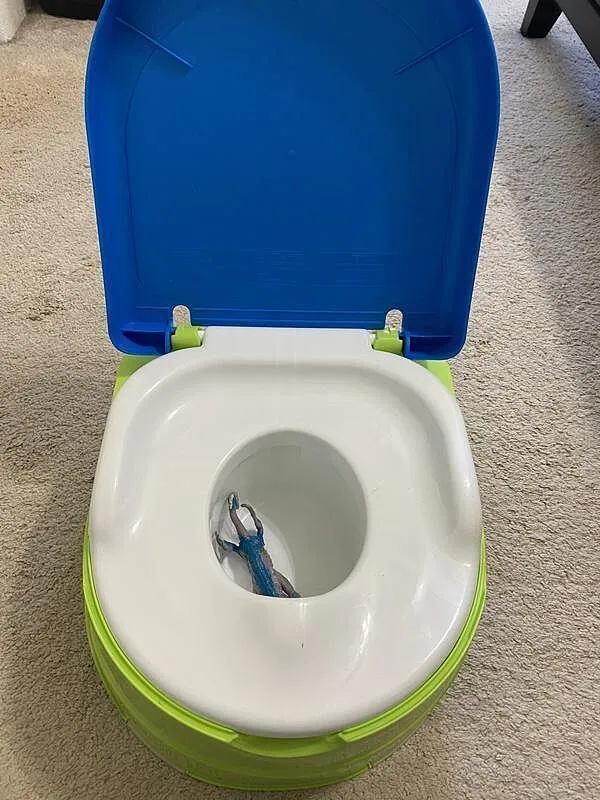 Summer My Fun Potty Töpfchen Pink mit Aufsatz 18-48 Monate