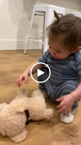 TUMAMA Laufhund Interaktives Plüsch-Spielzeug Leine