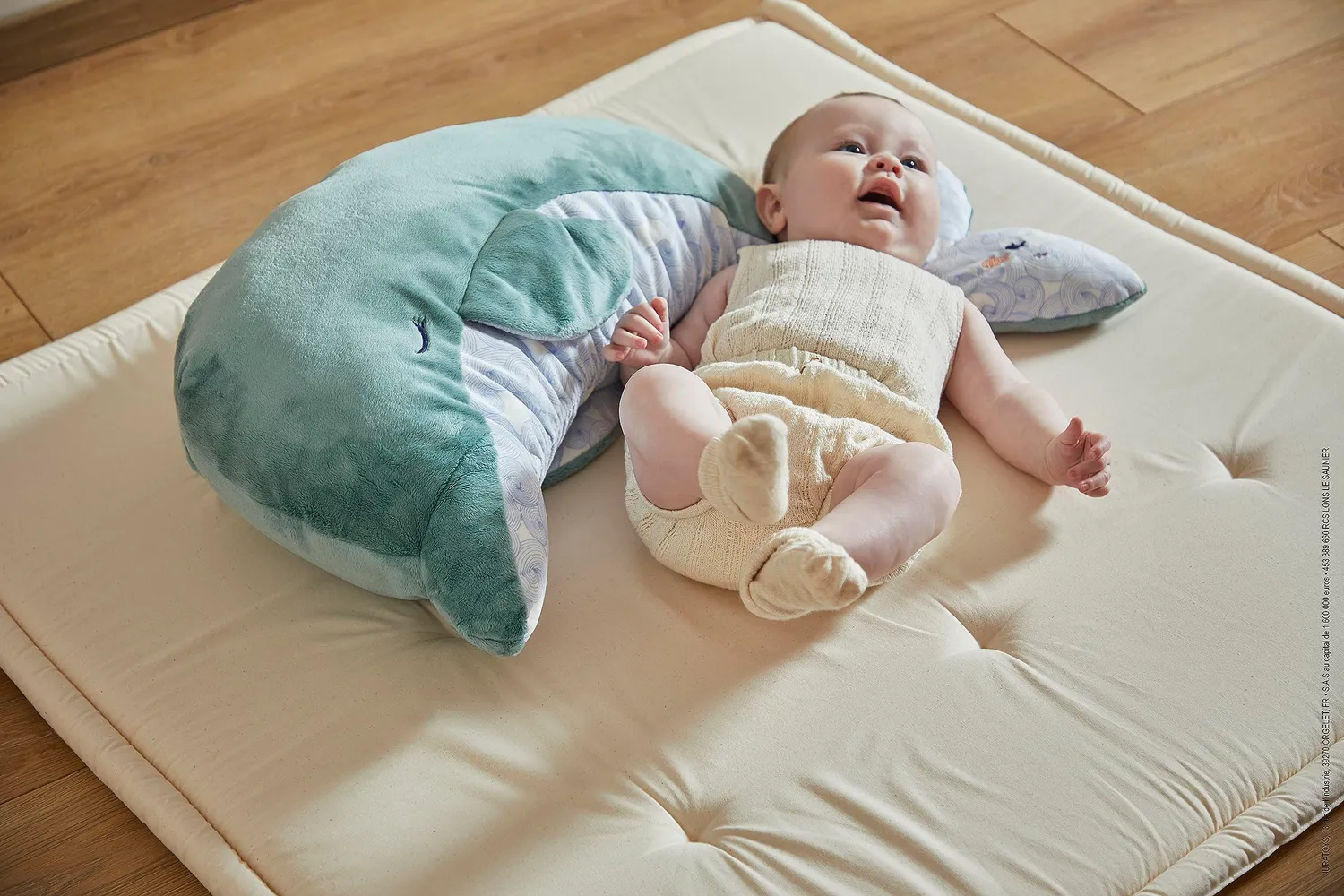 Kaloo Petit Calme Plüschdelfin Kuscheltier 60 cm grün