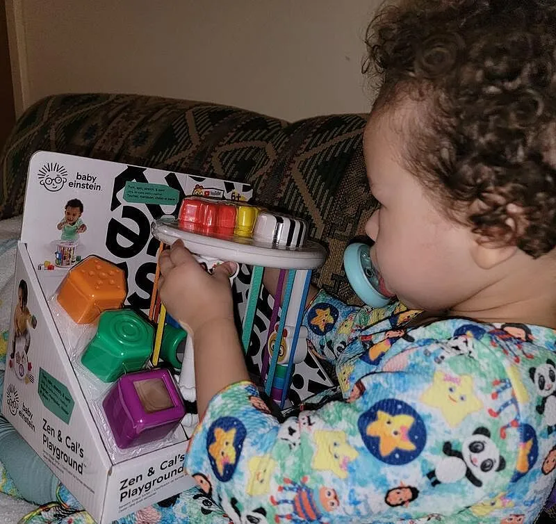 Baby Einstein Zen & Cal's Playground Formensortierer 6 Teile