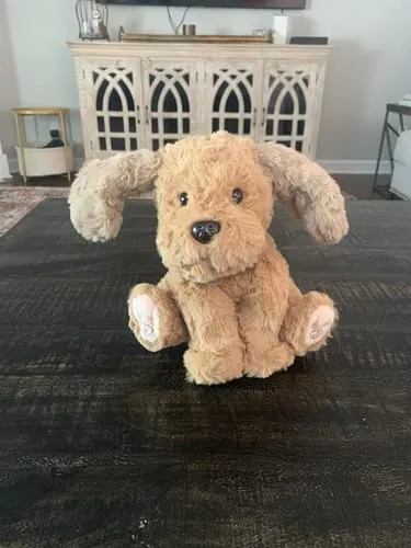 TUMAMA Plüschhund Interaktiv Singend Aufnahme