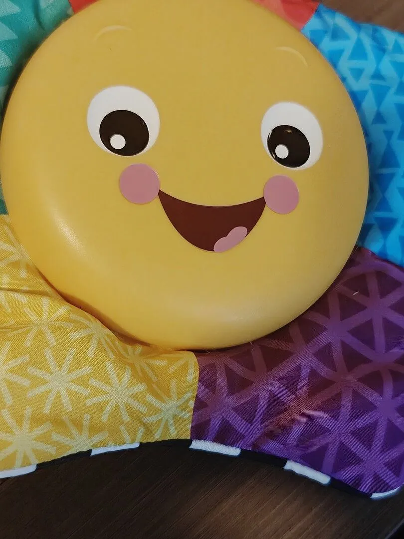 Baby Einstein Star Bright Symphony Stern Plüschtier mit Musik