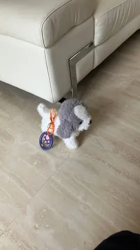 TUMAMA Walking Dog Plüschhund mit Leine und Knochen interaktiv