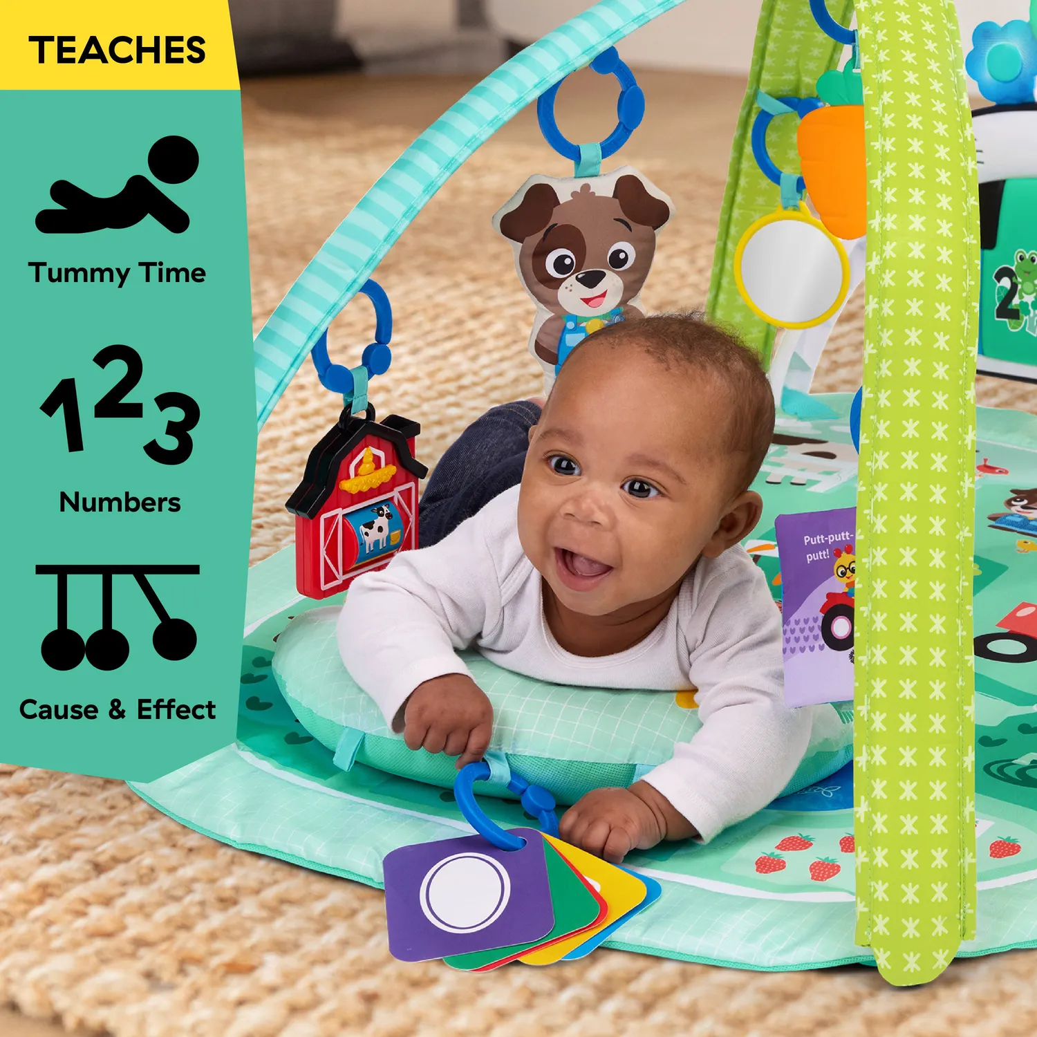 Baby Einstein Farm Explorers Spieldecke mit Piano