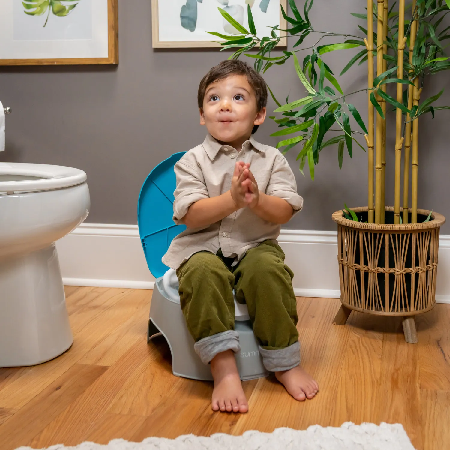 Summer Infant Train With Me 3-in-1 Töpfchen mit Aufsatz