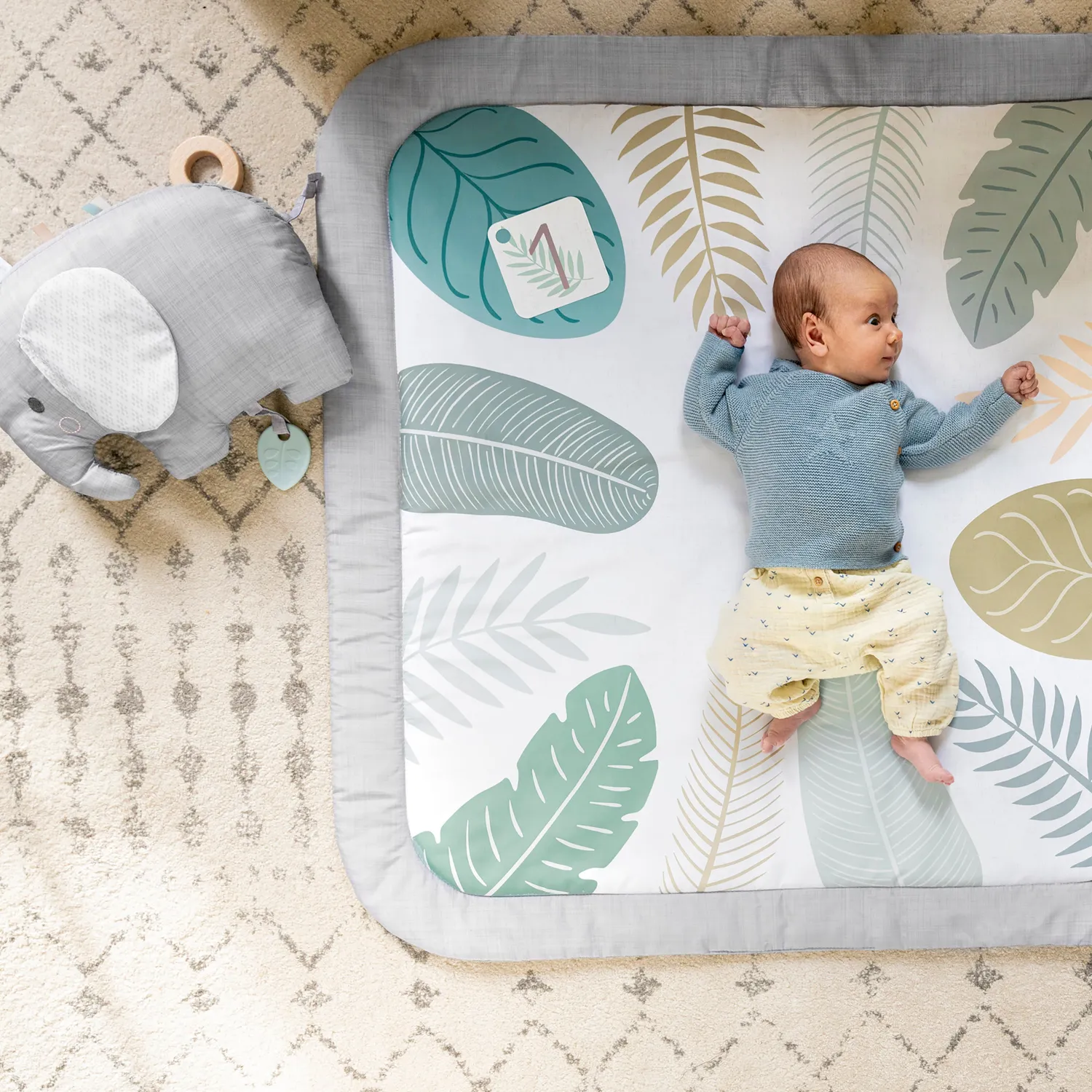 Ingenuity Sprout Spot Spieldecke 101cm mit Meilensteinkarten