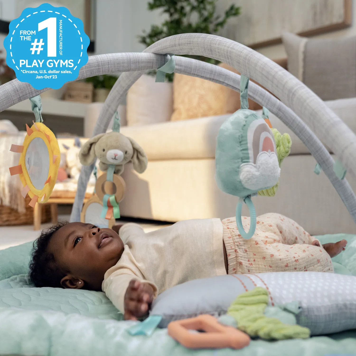 Ingenuity Calm Springs Spielbogen Plüschdecke Bambus mit 6 Toys