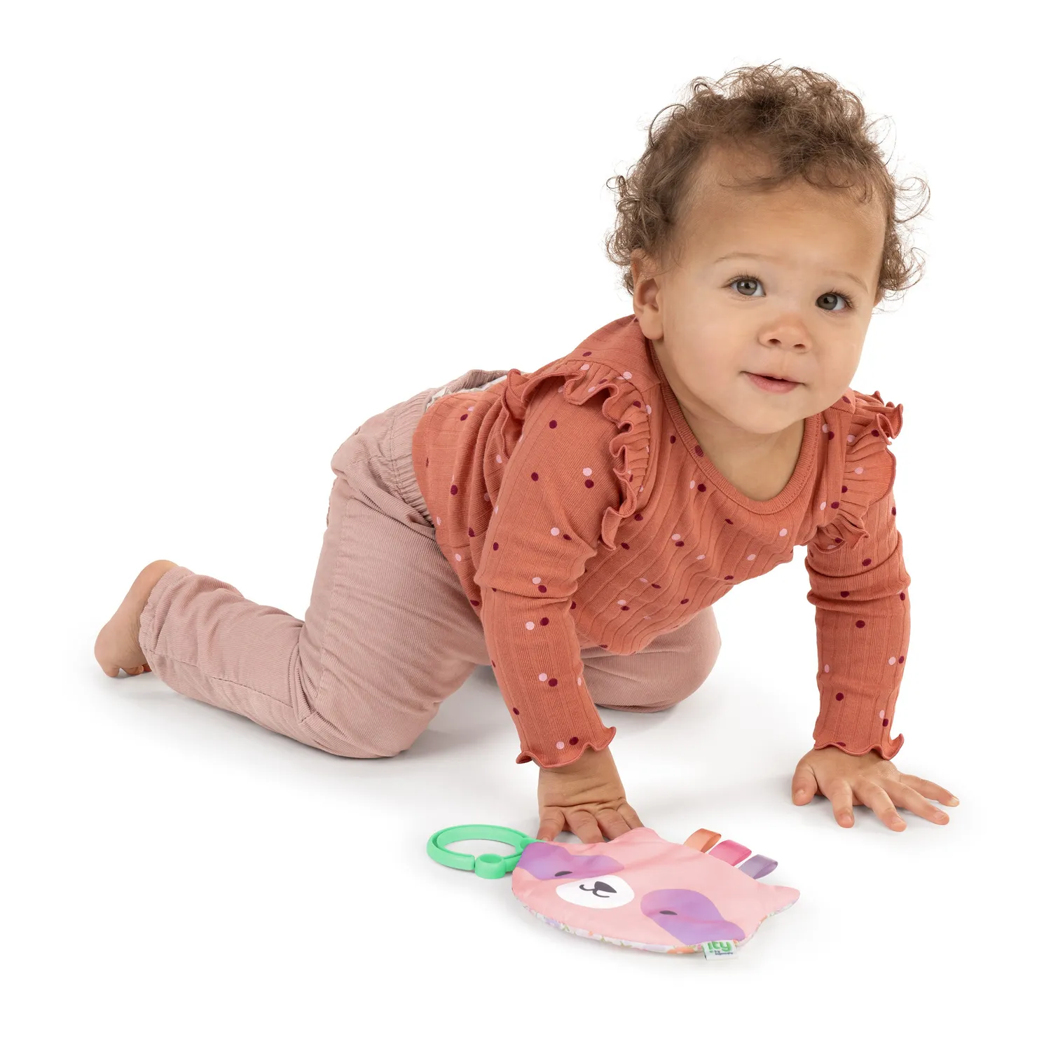 Ingenuity ity Crinklet Deni Knistertuch Waschbär sanft