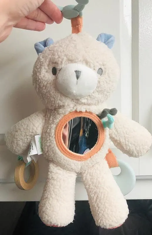 Ingenuity Nate Teddy Aktivspielzeug Plüsch ab Geburt
