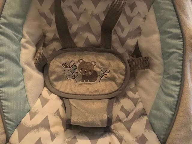 Ingenuity ConvertMe Raylan Babyschaukel 2-in-1 mit Musik
