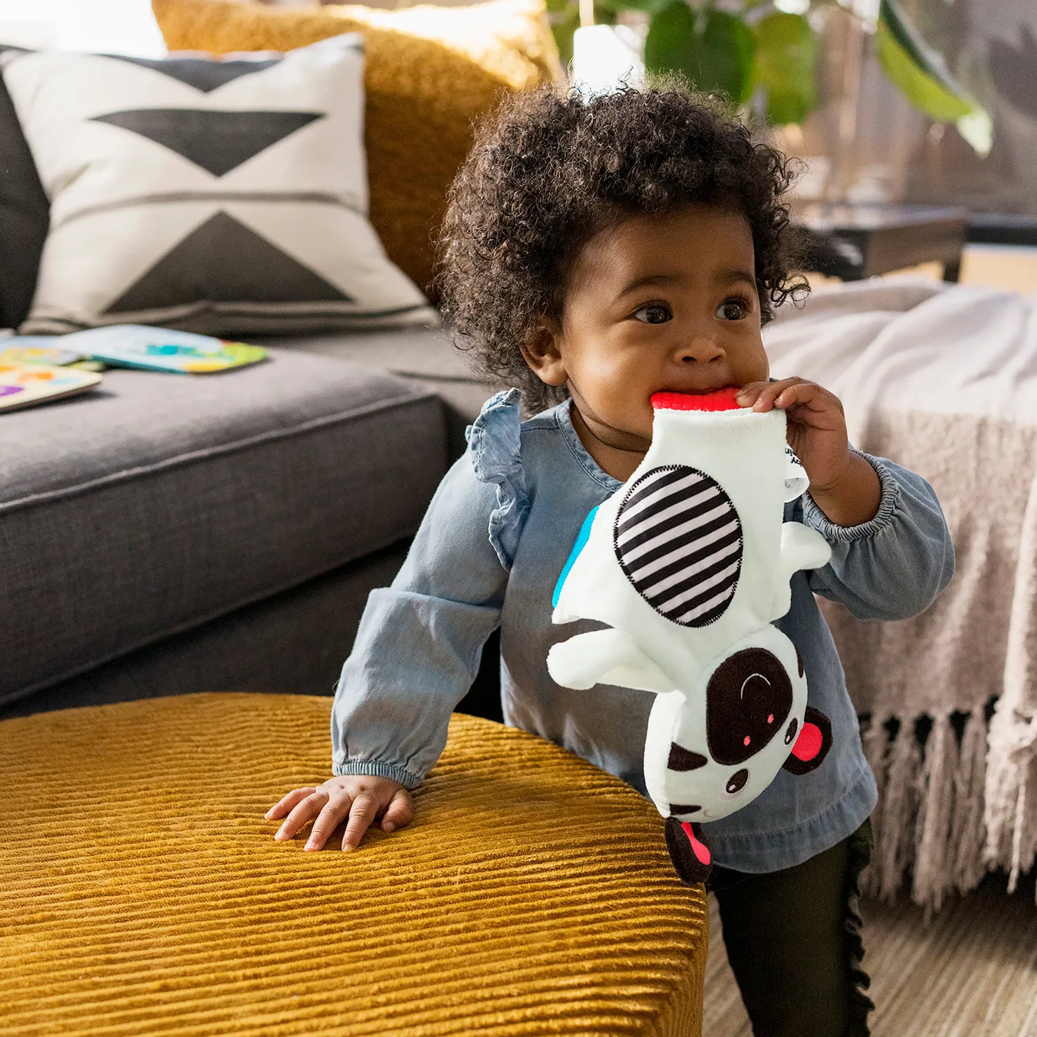 Baby Einstein Zen the Zebra Plüsch-Beißring schwarz-weiß