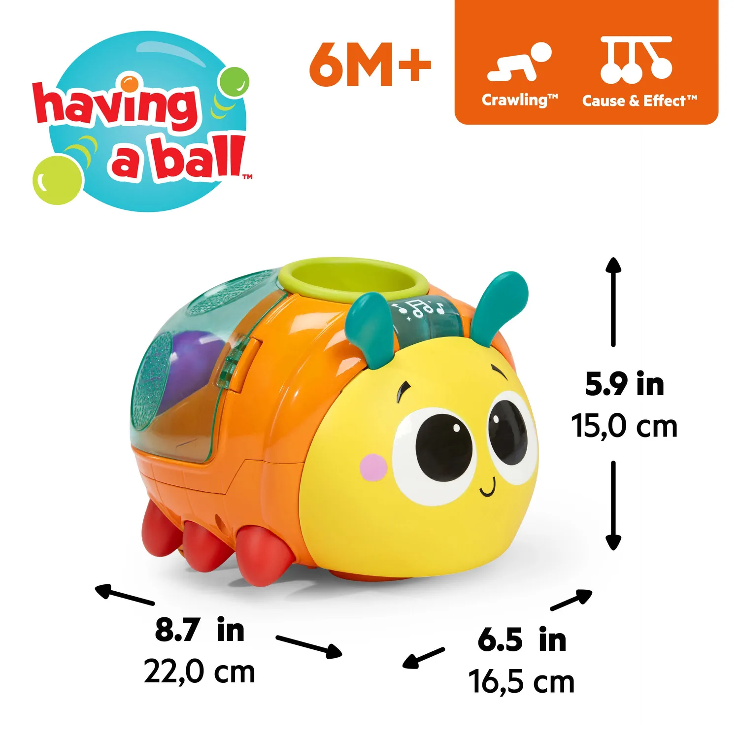 Bright Starts Spin n Chase Bug Ballspielzeug mit Licht