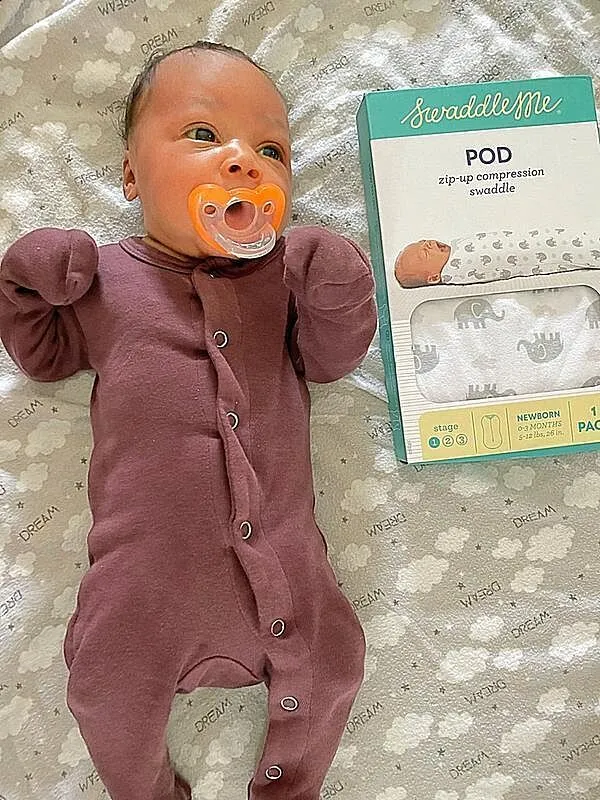 Ingenuity SwaddleMe Pod Pucksack Sweet Blossoms