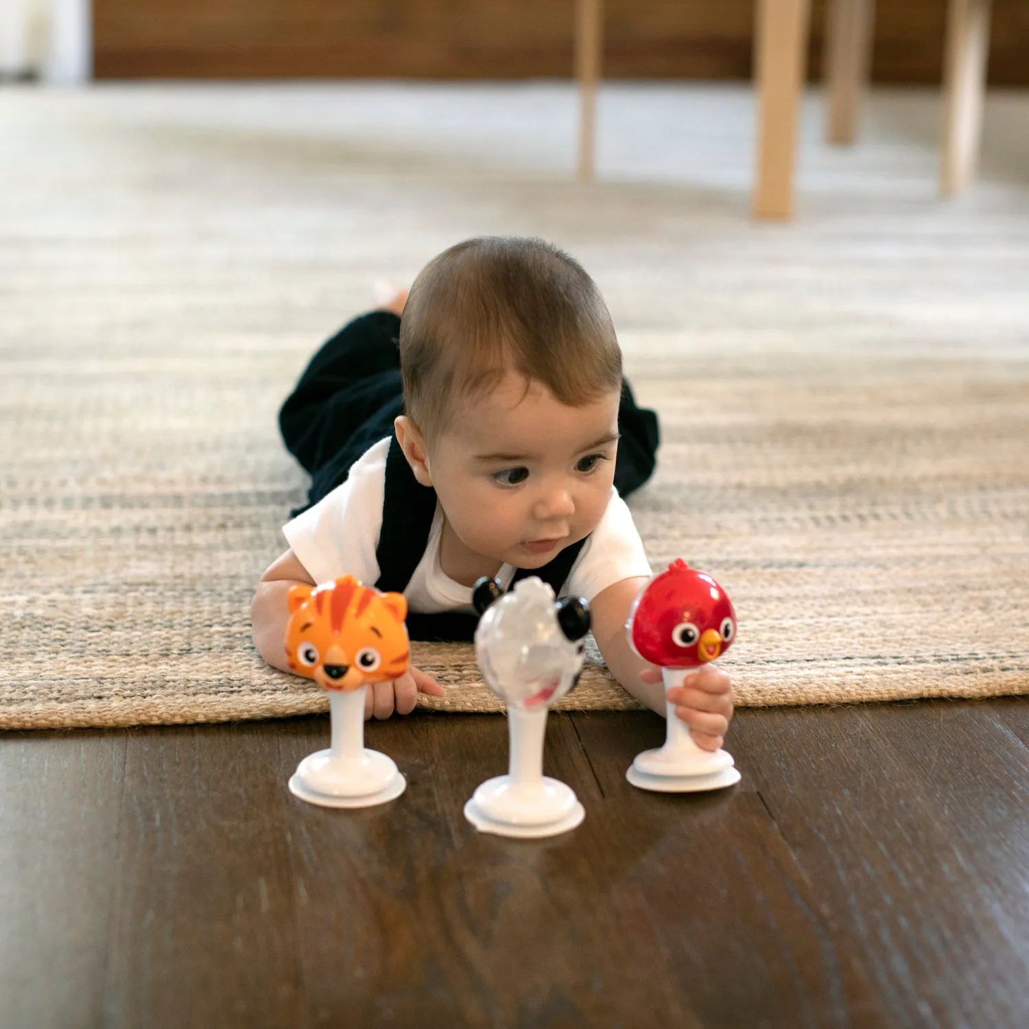 Baby Einstein Rattle & Jingle Trio Rasselset Saugnapf