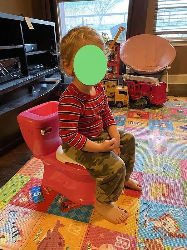 Ingenuity My Size Potty Pro Töpfchen Pink verstellbar
