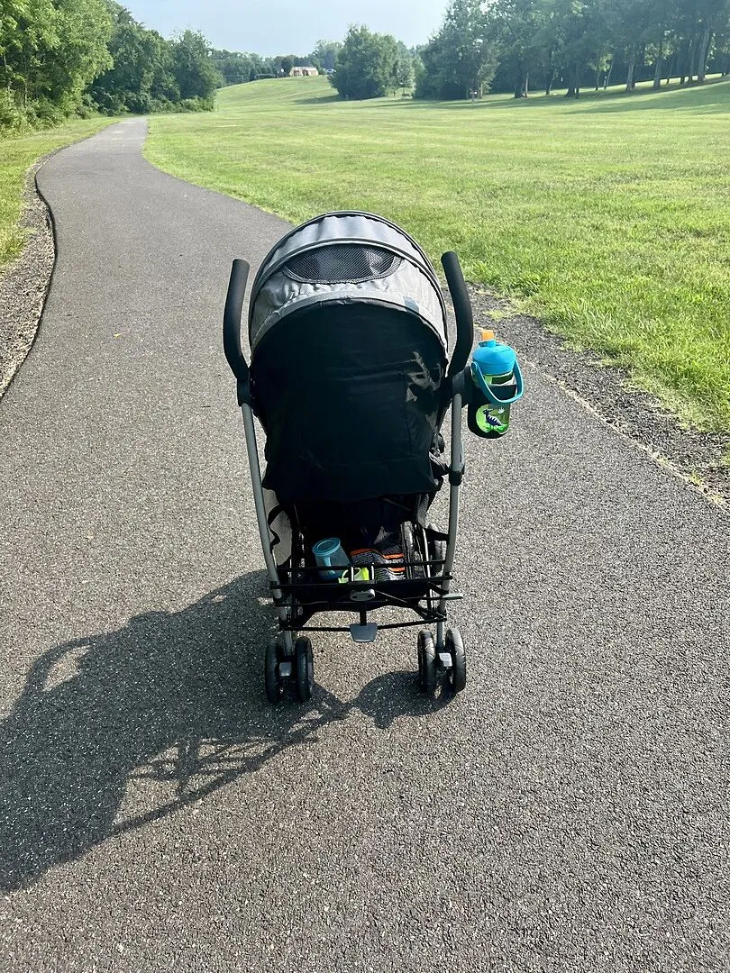 Ingenuity 3Dlite Jewel Buggy grau leicht 6,3 kg