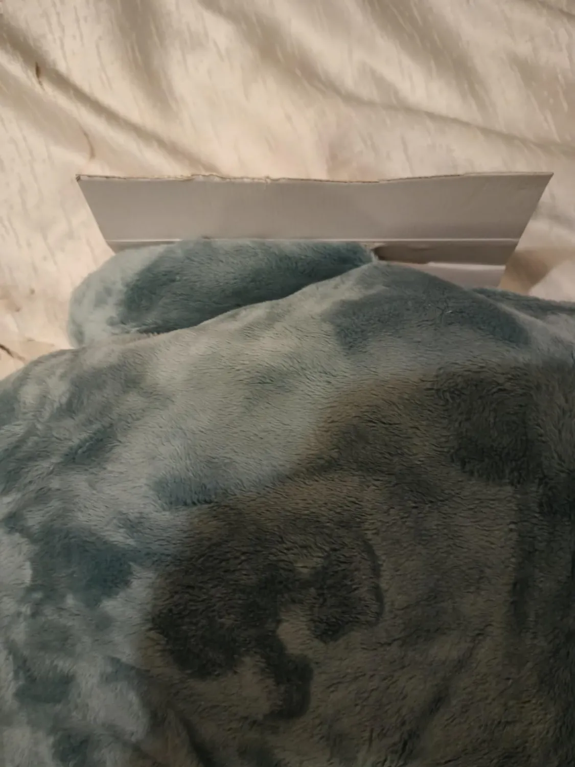 Kaloo Petit Calme Plüschdelfin Kuscheltier 60 cm grün