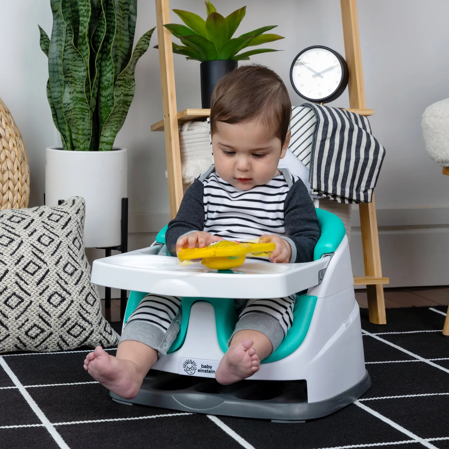 Baby Einstein Ocean Explorers Pop & Glow Seestern Sensorikspielzeug