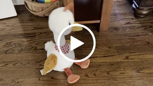 TUMAMA Tanzende Ente singend sprechend 33cm