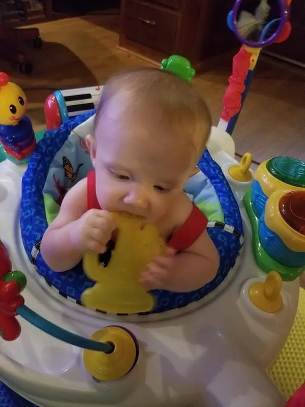 Baby Einstein Neighborhood Symphony Jumper Musik