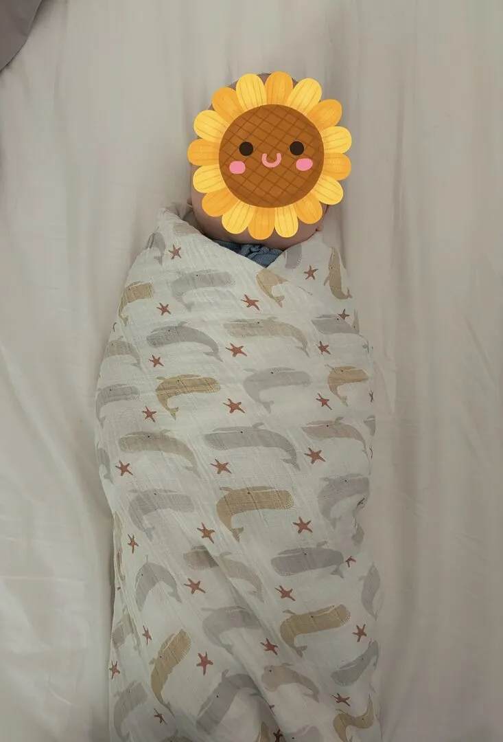 SwaddleMe First Moments Musseldecke & Mütze Set 4-tlg oeko-tex