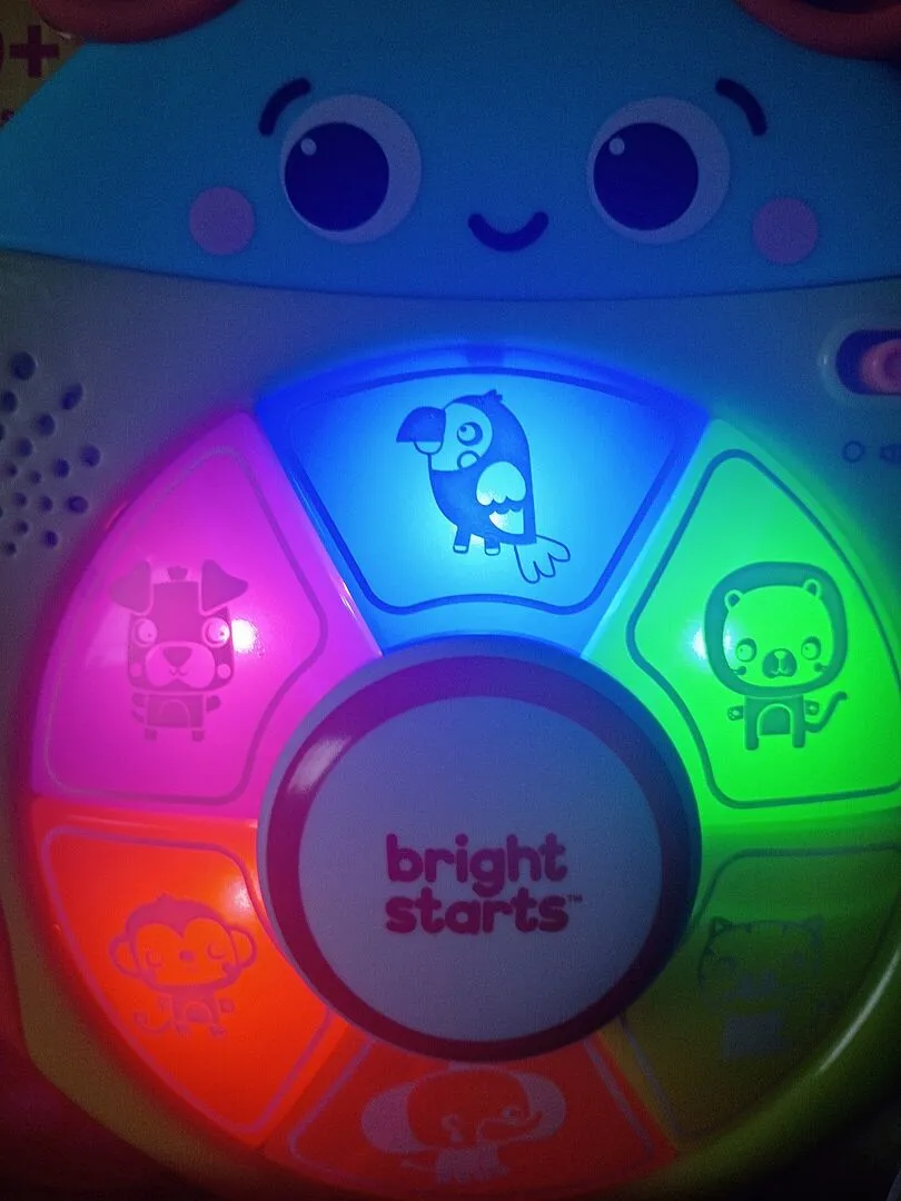 Bright Starts Safari Surprise Multisensory Lernspielzeug Käfer
