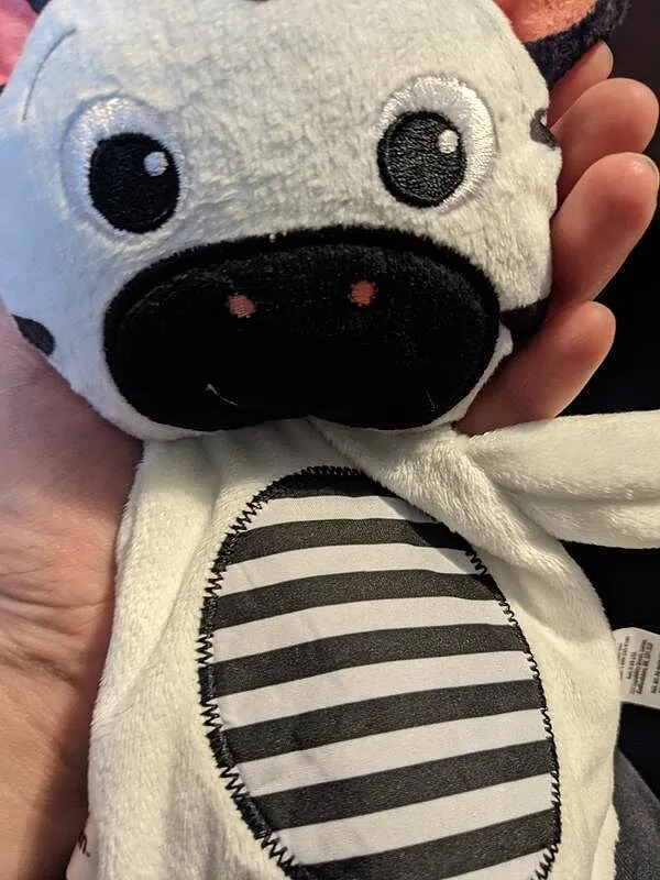 Baby Einstein Zen the Zebra Plüsch-Beißring schwarz-weiß