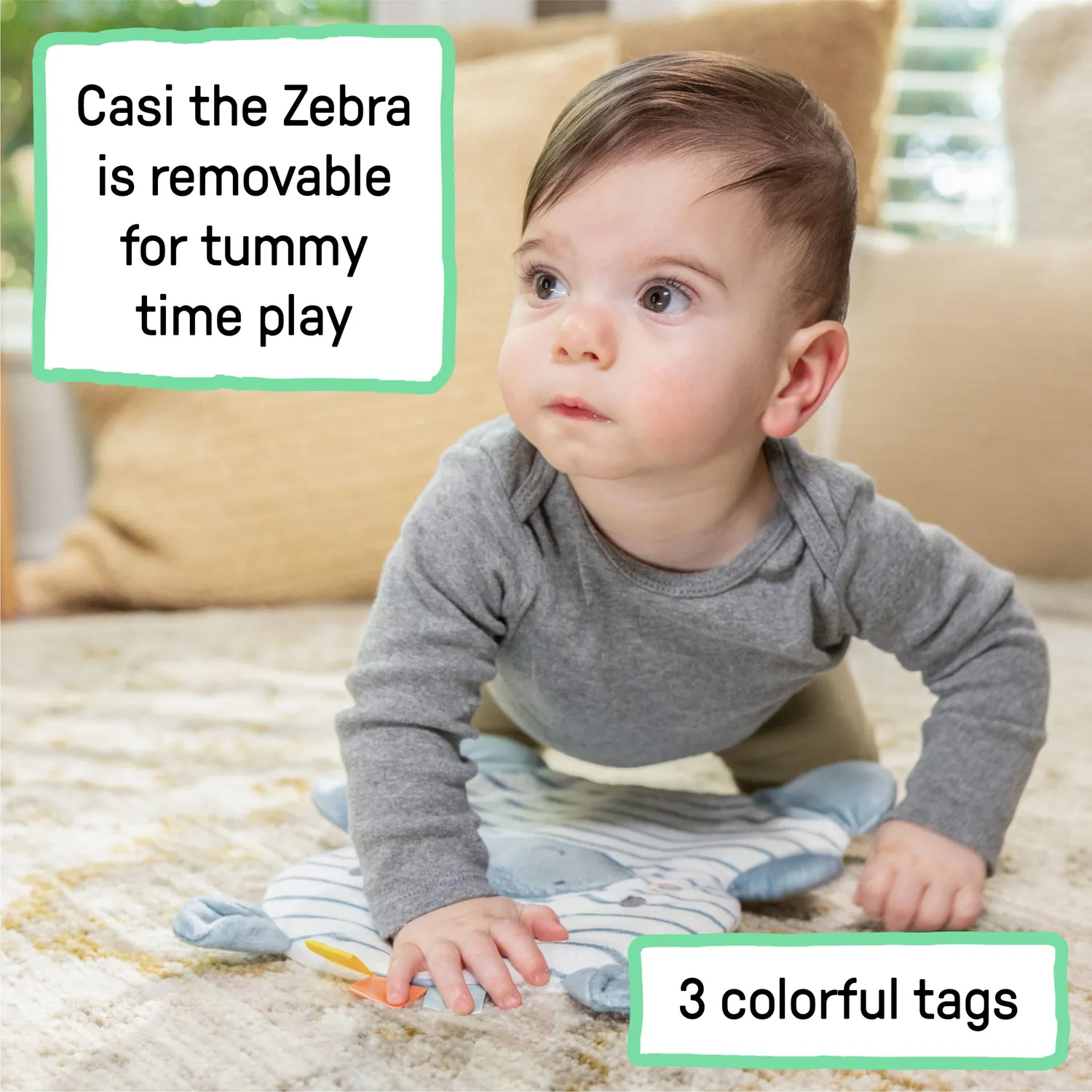 Ingenuity Prop Spot Bodensitz Casi Zebra 3-in-1