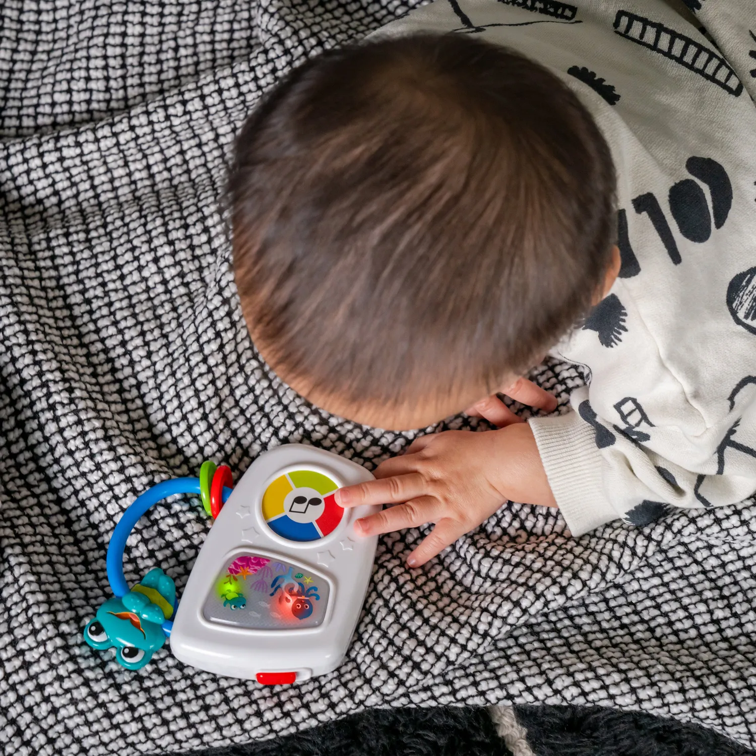 Baby Einstein Ocean Explorers Musikspielzeug
