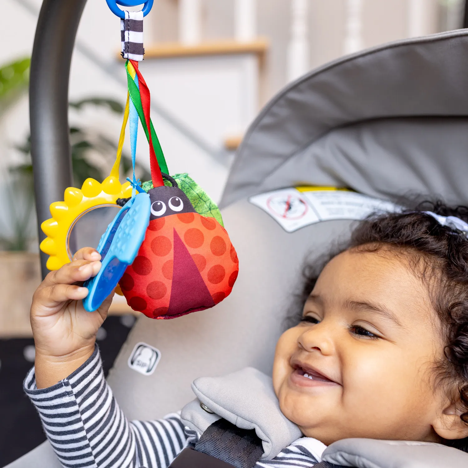 Baby Einstein Touch of Nature Sensorikspielzeug 4er Set ab Geburt