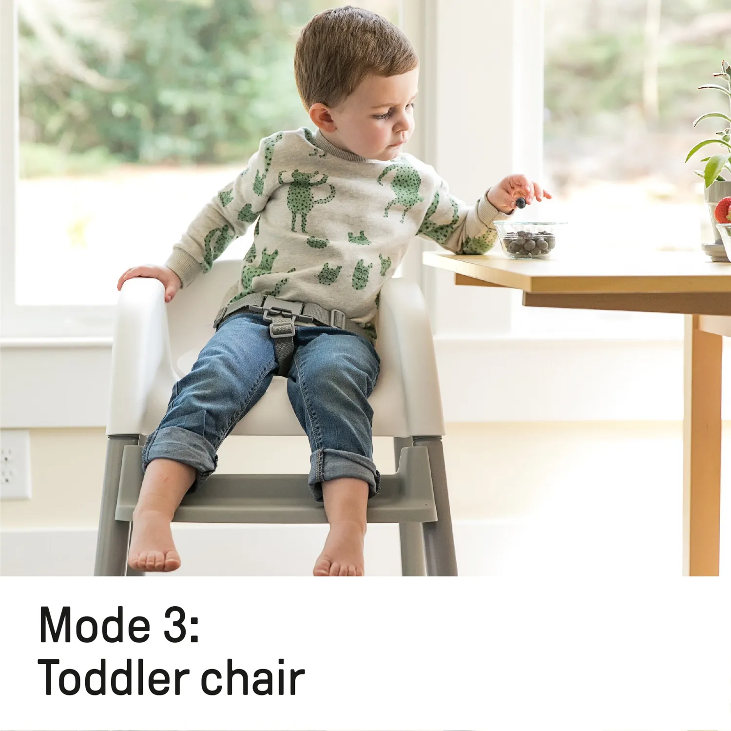 Ingenuity Trio Elite Braden 3-in-1 Hochstuhl Slate mitwachsend