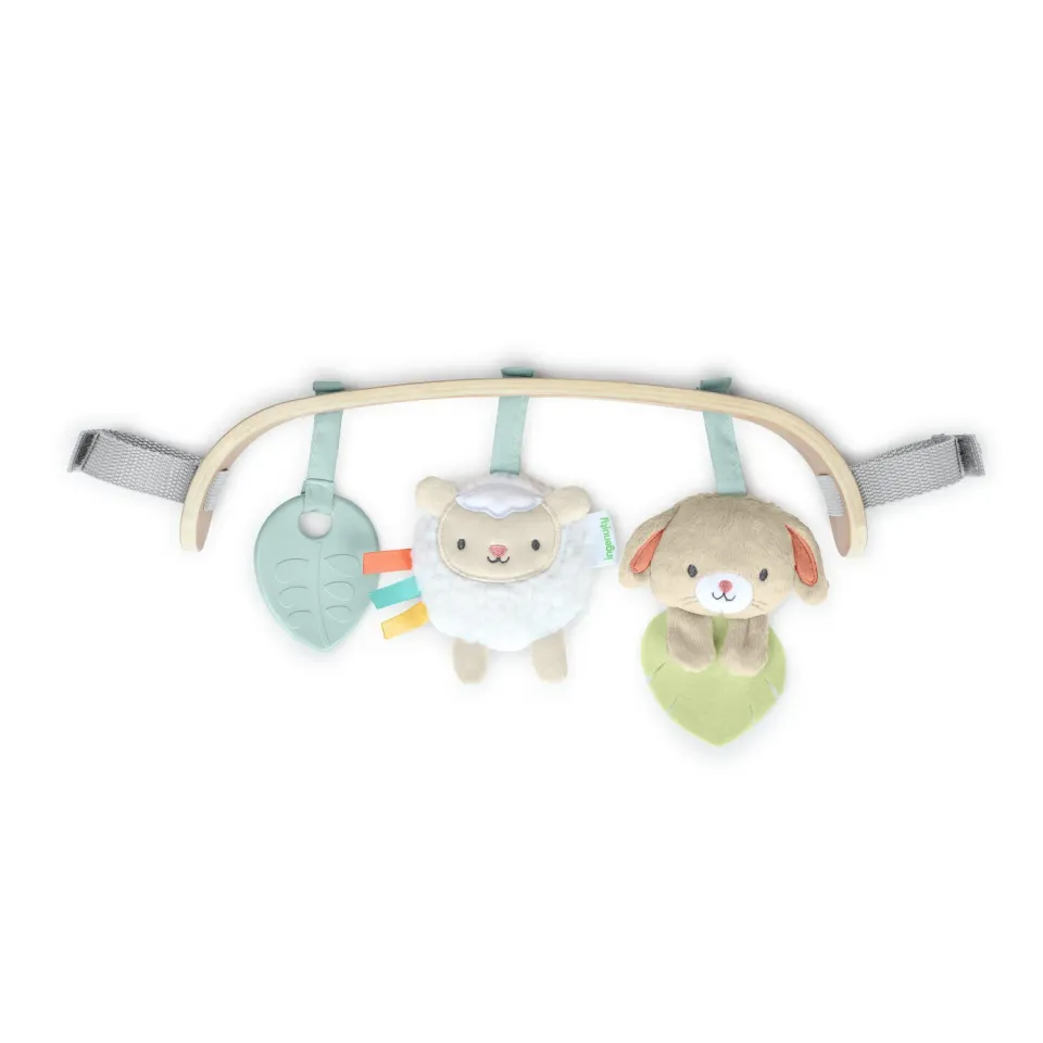Ingenuity Soothing Essentials Spielbogen Holz 0-12 Monate