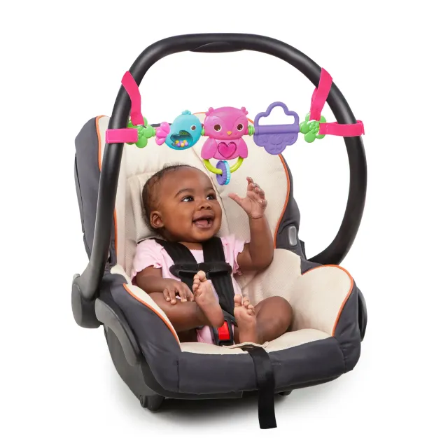 Bright Starts Busy Birdies Spielbogen mit Musik und Licht
