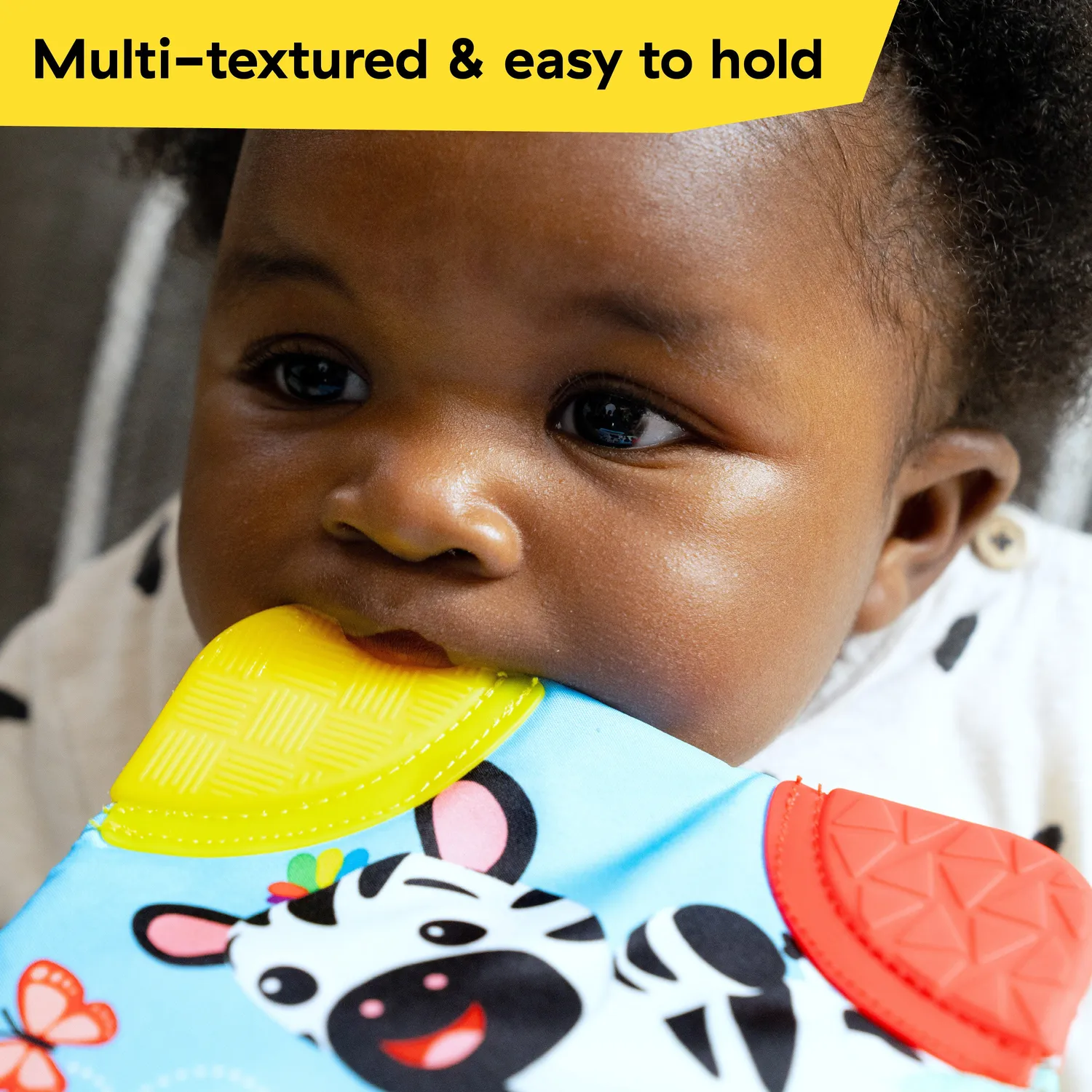 Baby Einstein Zen the Zebra Geschenkset 3-teilig ab 3 Monate