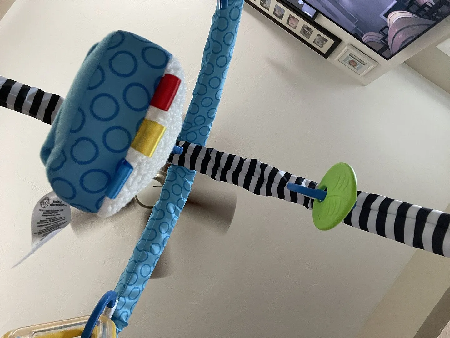 Baby Einstein Cals Curiosity Center Spieldecke faltbar