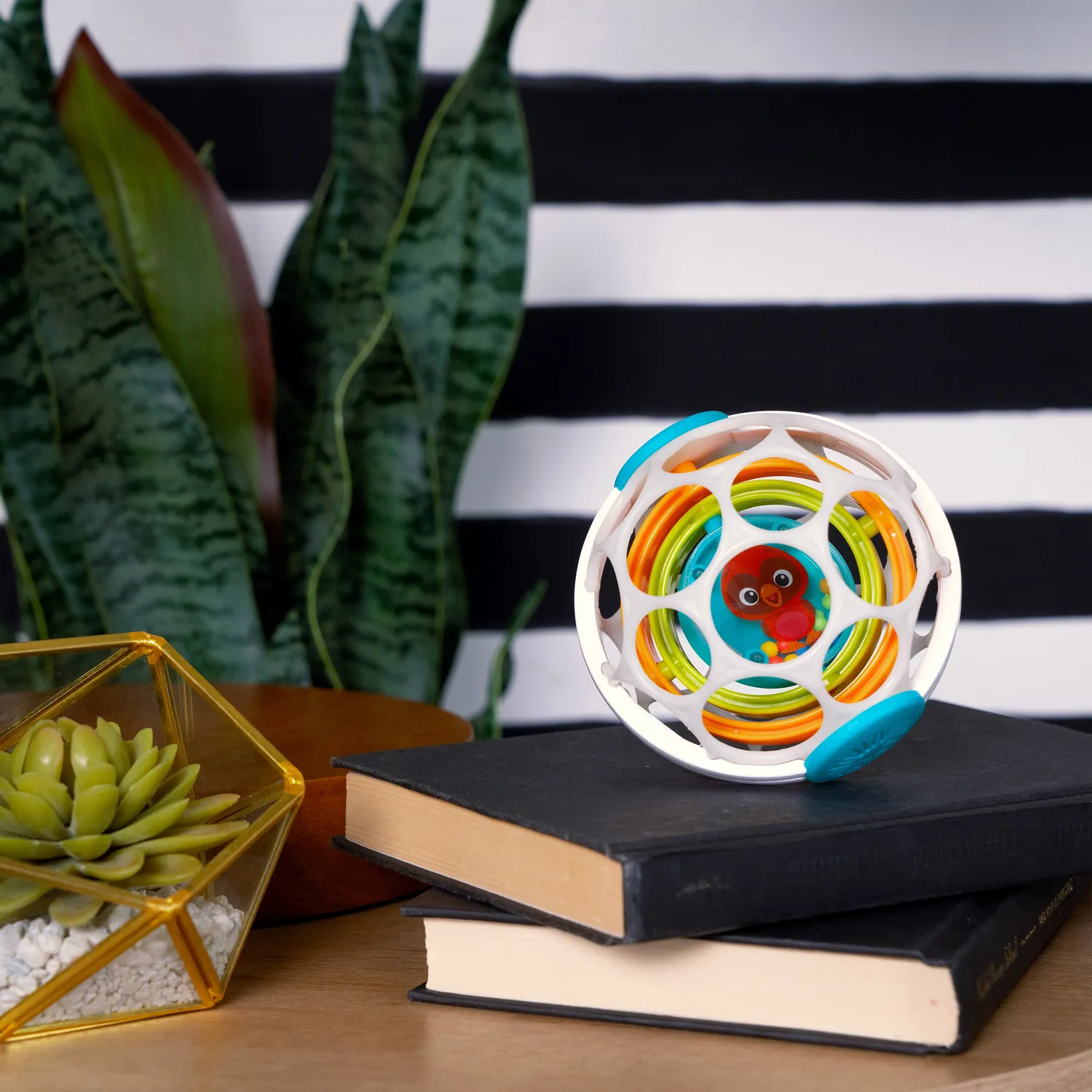 Baby Einstein Grip & Spin Oball Rasselball