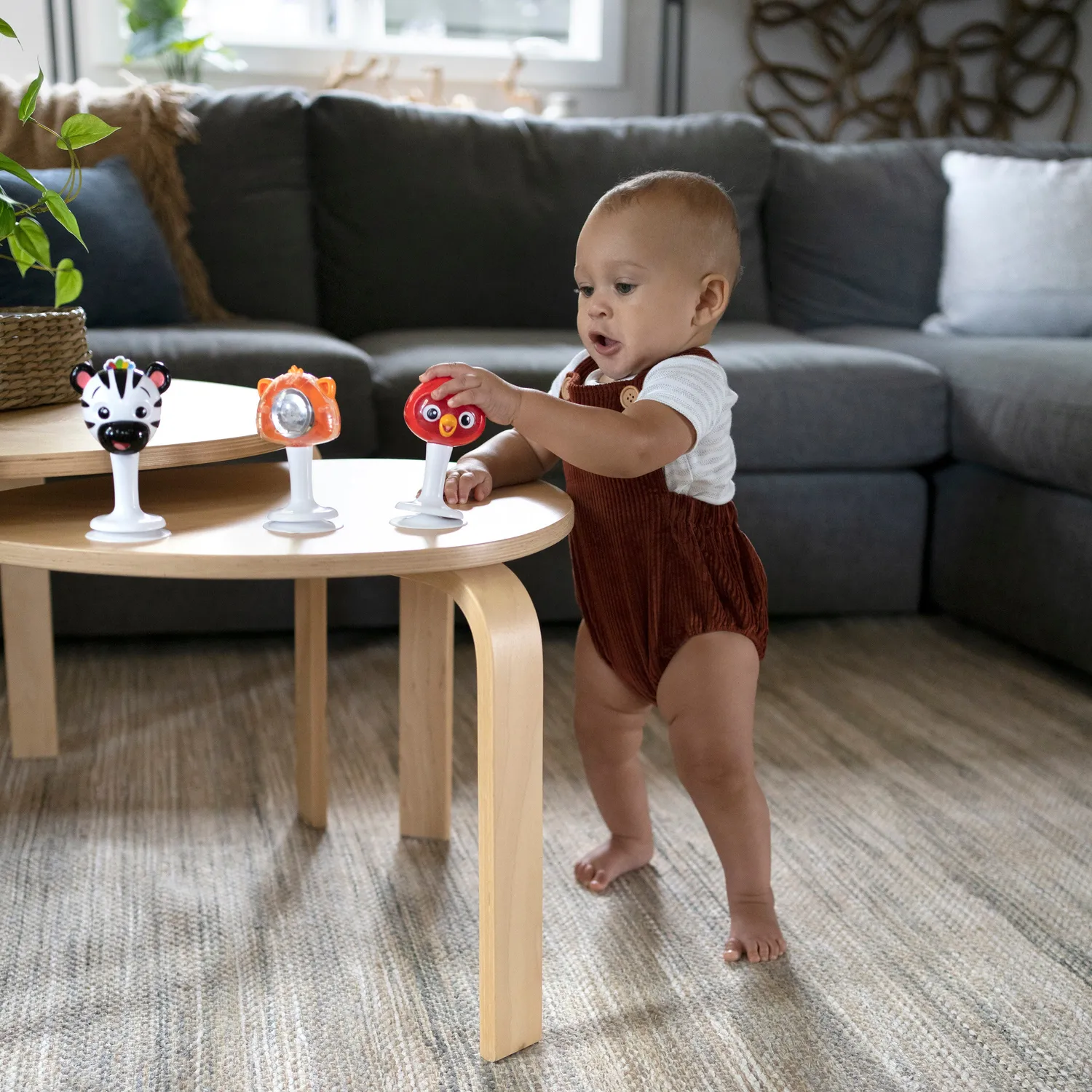 Baby Einstein Rattle & Jingle Trio Rasselset Saugnapf