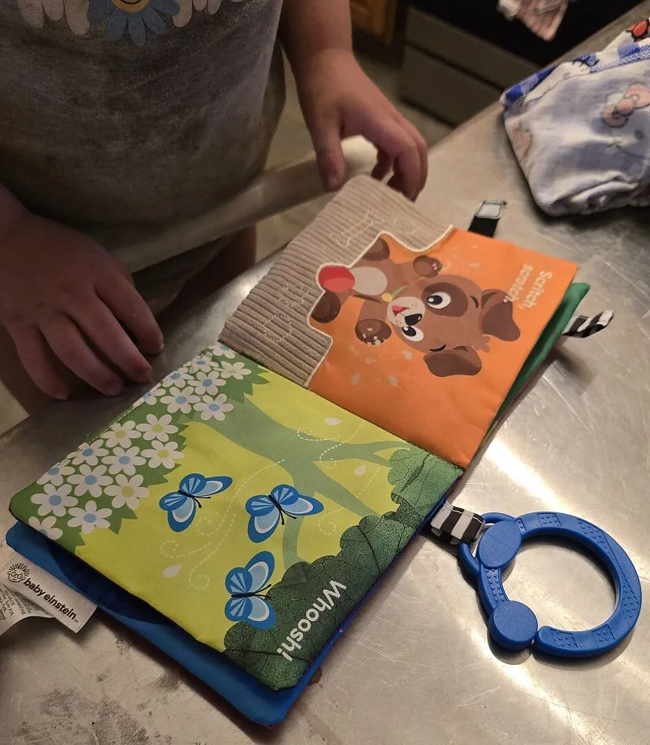 Baby Einstein Nature Sounds Stoffbuch Softbuch mit Rassel ab 0 Monate