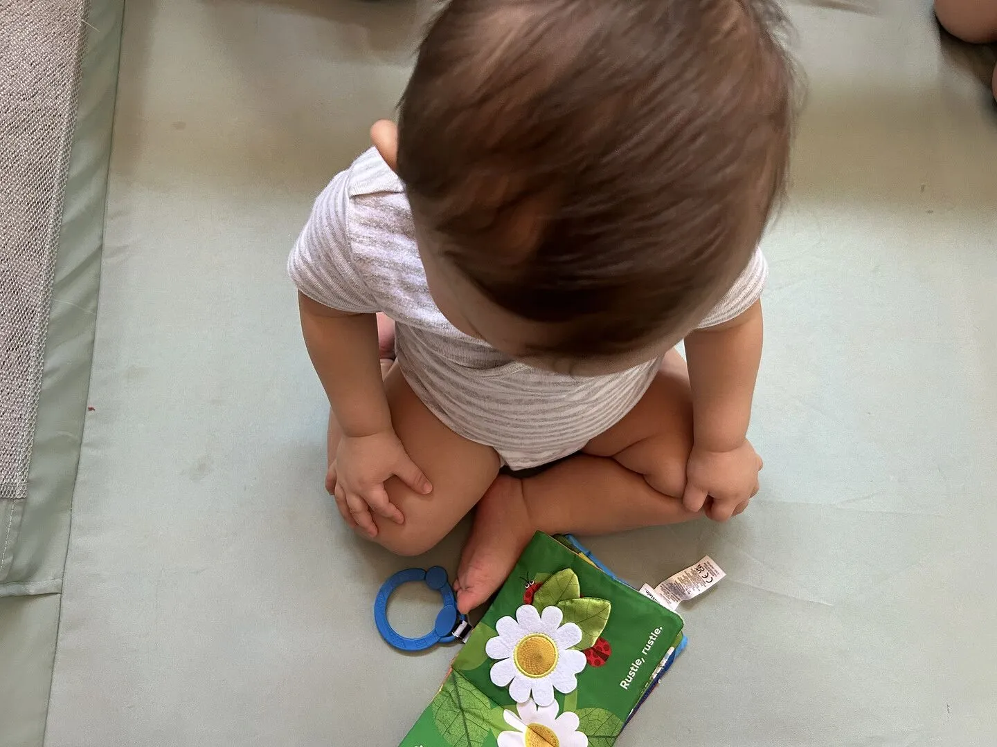 Baby Einstein Nature Sounds Stoffbuch Softbuch mit Rassel ab 0 Monate
