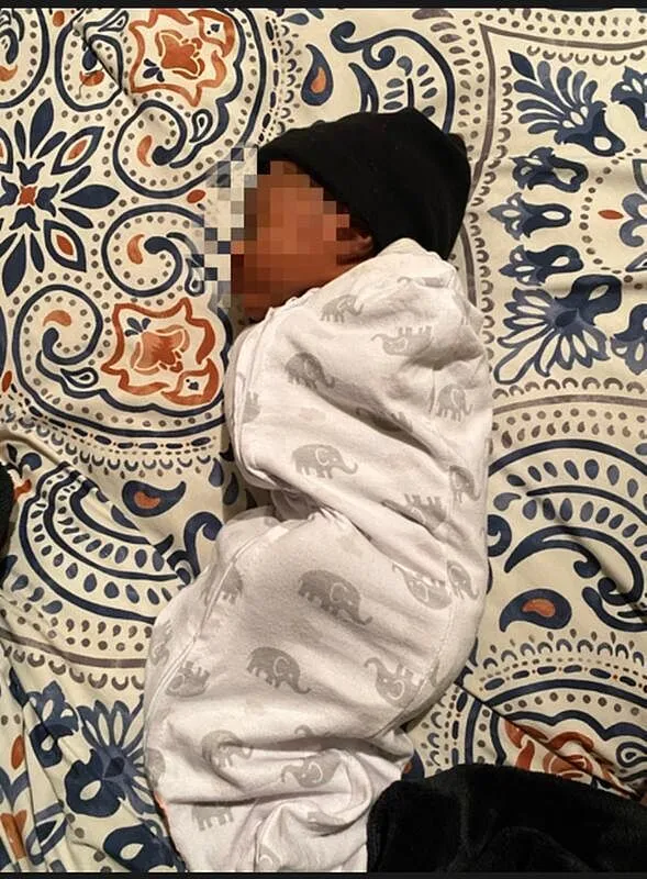 Ingenuity SwaddleMe Pod Pucksack Sweet Blossoms