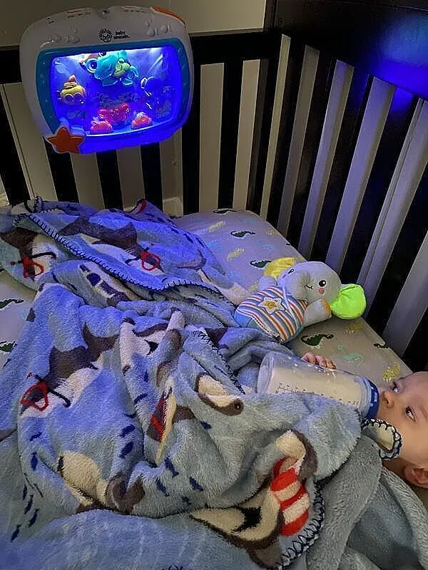 Baby Einstein Sea Dreams Soother Einschlafhilfe mit Licht