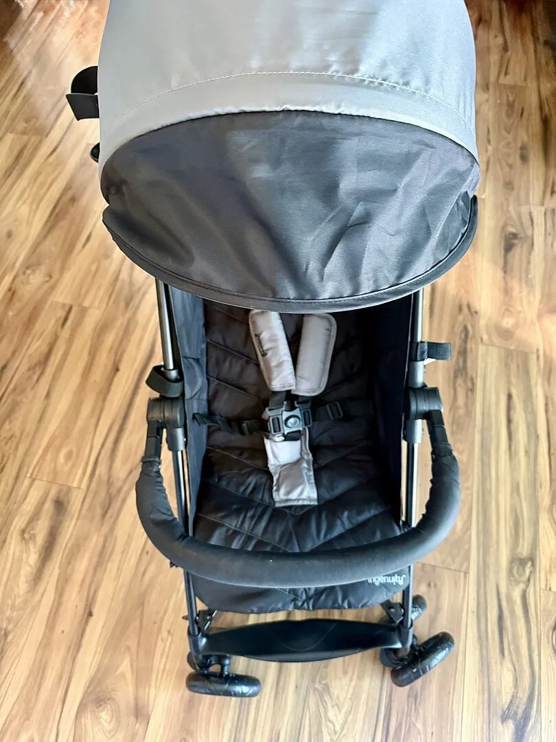 Ingenuity 3Dlite Jewel Buggy grau leicht 6,3 kg