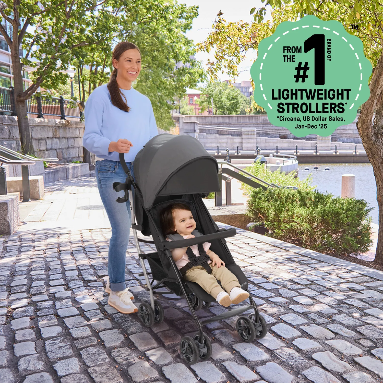 Ingenuity 3Dlite Jewel Buggy grau leicht 6,3 kg