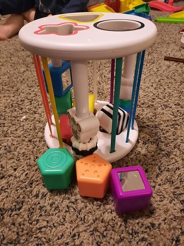Baby Einstein Zen & Cal's Playground Formensortierer 6 Teile