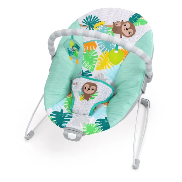 Bright Starts Wild Wonders Babywippe Vibration 0-6 M
