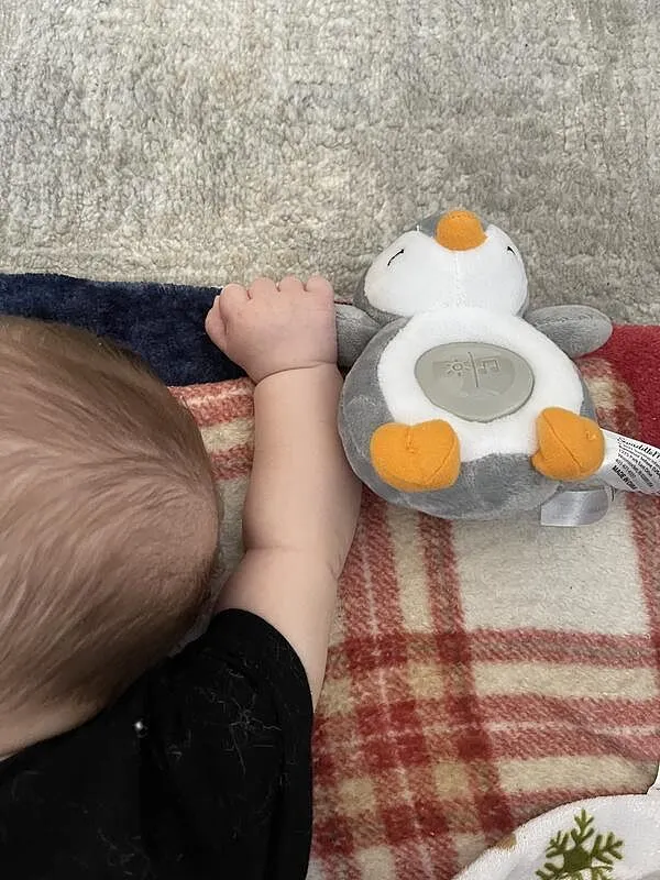 SwaddleMe Slumber Buddies Mini Penguin Einschlafhilfe Pinguin mit Licht