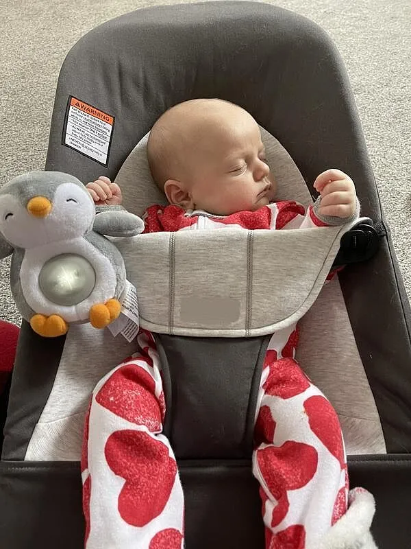 SwaddleMe Slumber Buddies Mini Penguin Einschlafhilfe Pinguin mit Licht
