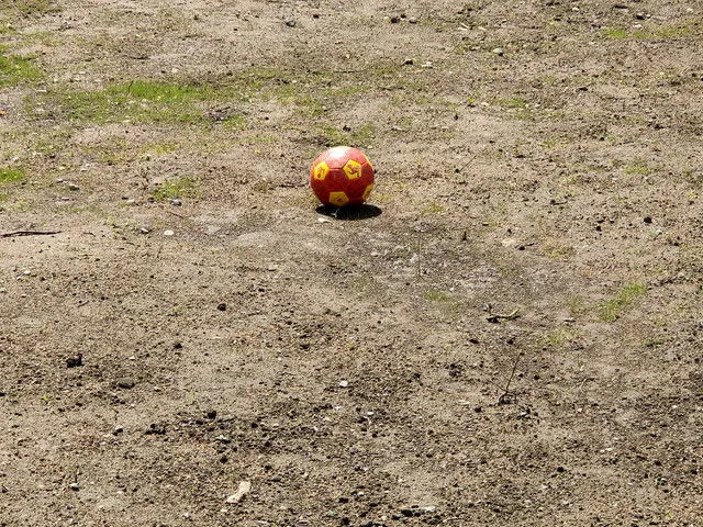 hahaland Dino Fußball Größe 3 mit Pumpe Rot Gelb