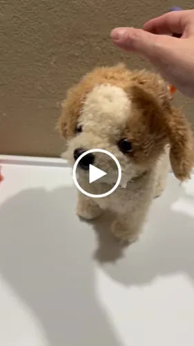 TUMAMA Plüschhund läuft und bellt mit Leine und Zubehör