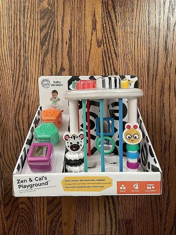 Baby Einstein Zen & Cal's Playground Formensortierer 6 Teile
